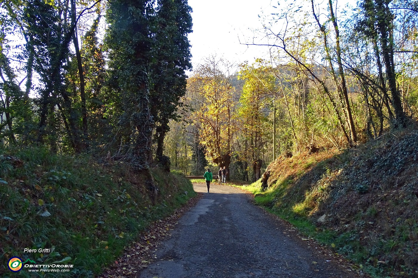 83 Lascio l'891 e scendo per un tratto dalla strada asfaltata .JPG -                                